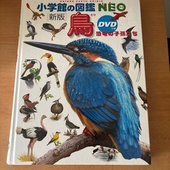 鳥の図鑑