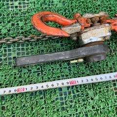 ニッチ 250kg
  の画像