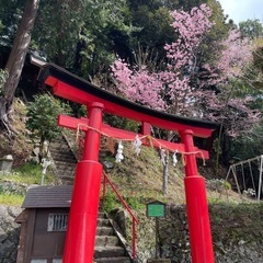 ゆるキャン見てたらキャンプしたい　　　(・∀・)