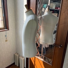 トルソー男性の画像