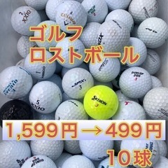 ①⑦ゴルフ【ロストボール】10球 499円 中古ゴルフボール