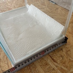 ケージ🦎🐢の画像