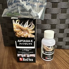 全て完売しました。