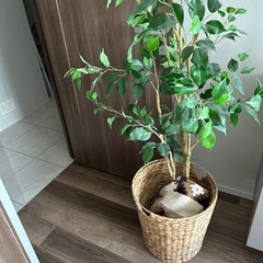 造花観葉植物&かご