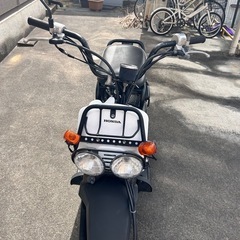 ズーマー50実働の画像