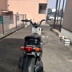 ズーマー50実働の画像