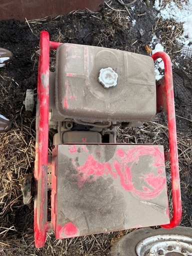 他で引き取り者決まりました。