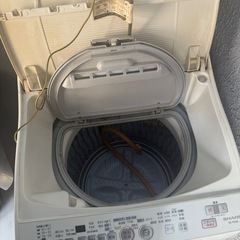 洗濯機