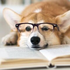 📚(残2名)4月9日(水) 洋書読書会📚