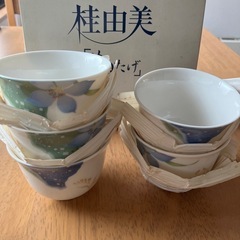 桂由美／湯呑み5客

