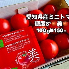 糖度8°🍅美🍅フルーツトマト入荷しました！✨