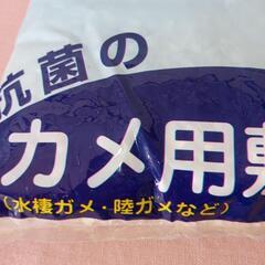 カメ用品 セット🐢の画像