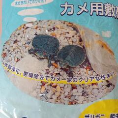 カメ用品 セット🐢の画像