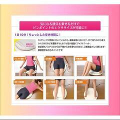 フラツイスターフィット　HULATWISTER FIT

の画像