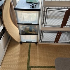 【4/3まで】収納ケース