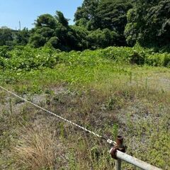 草刈りをしてくれる方を探しています　【 上尾市原市　土地　179...