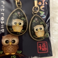 新品未開封品❗️ガラスレンズふくろうペア根付の画像