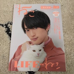 【3月中処分】川島如恵留 表紙 ねこ
