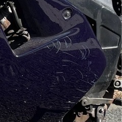 YAMAHA TZR50Rの画像