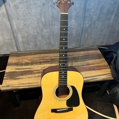 TAKAMINE アコースティックギター T-2N