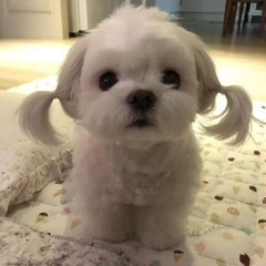 お友達募集