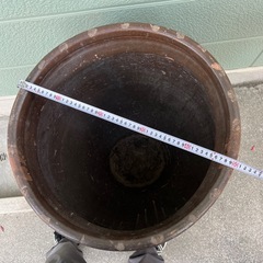 特大水瓶　睡蓮　鉢　メダカ　金魚　ビオトープ 等にの画像