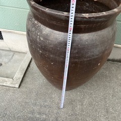 特大水瓶　睡蓮　鉢　メダカ　金魚　ビオトープ 等にの画像