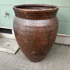 特大水瓶　睡蓮　鉢　メダカ　金魚　ビオトープ 等にの画像