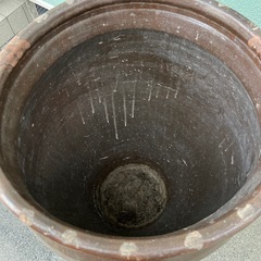 特大水瓶　睡蓮　鉢　メダカ　金魚　ビオトープ 等にの画像