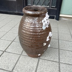 蛸壺　フジツボ付きの画像