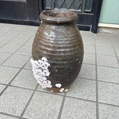 蛸壺　フジツボ付きの画像
