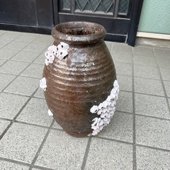 蛸壺　フジツボ付き