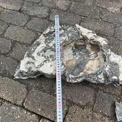 盆栽石　鑑賞石の画像