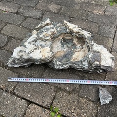 盆栽石　鑑賞石の画像