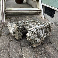 盆栽石　鑑賞石　2の画像
