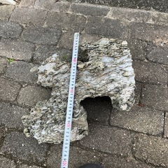 盆栽石　鑑賞石　2の画像