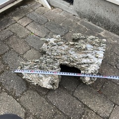 盆栽石　鑑賞石　2の画像