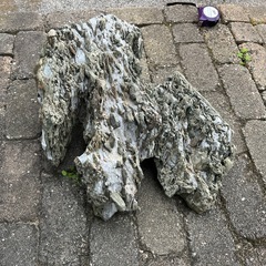 盆栽石　鑑賞石　2の画像