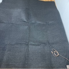 決まりました。ホットカーペット