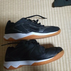 バレーボールシューズの画像