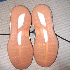 バレーボールシューズの画像