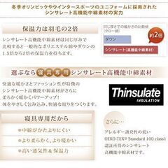 未使用未開封　まるで羽毛布団 高機能中綿素材ポリエステル100％ シンサレート掛け布団 フィルケア抗菌防臭綿　セミダブル　ブラウンの画像