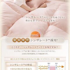 未使用未開封　まるで羽毛布団 高機能中綿素材ポリエステル100％ シンサレート掛け布団 フィルケア抗菌防臭綿　セミダブル　ブラウンの画像