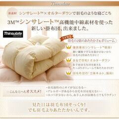 未使用未開封　まるで羽毛布団 高機能中綿素材ポリエステル100％ シンサレート掛け布団 フィルケア抗菌防臭綿　セミダブル　ブラウンの画像