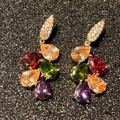 ピアス　オシャレ風の画像