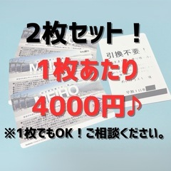 めいほうスキー場(岐阜県) シーズン券 残り2枚(割引券付き)