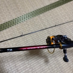 ダイワメバルX　　の画像