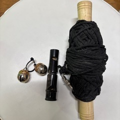 ハリスホークの飛ばすセットですの画像