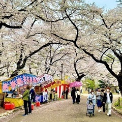 ‼️現在19名‼️🌸お花見🌸4/5土11:00✨大宮公園✨ - その他