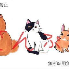 ペットの似顔絵、アナログで描きます